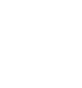 festival de Magie de Québec