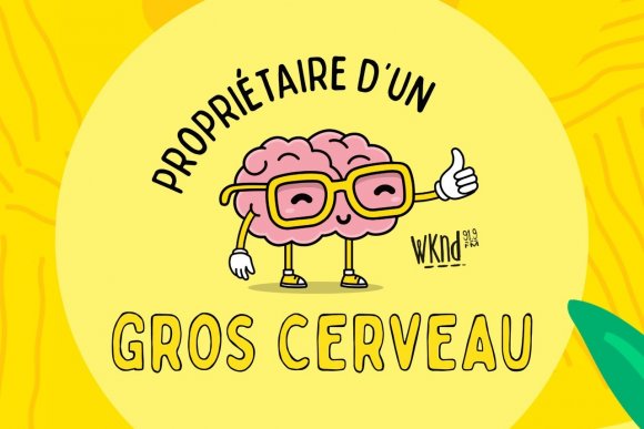 15 QUIZ GROS CERVEAU